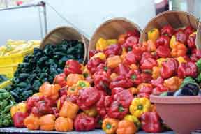 Turkish Stuffed Peppers